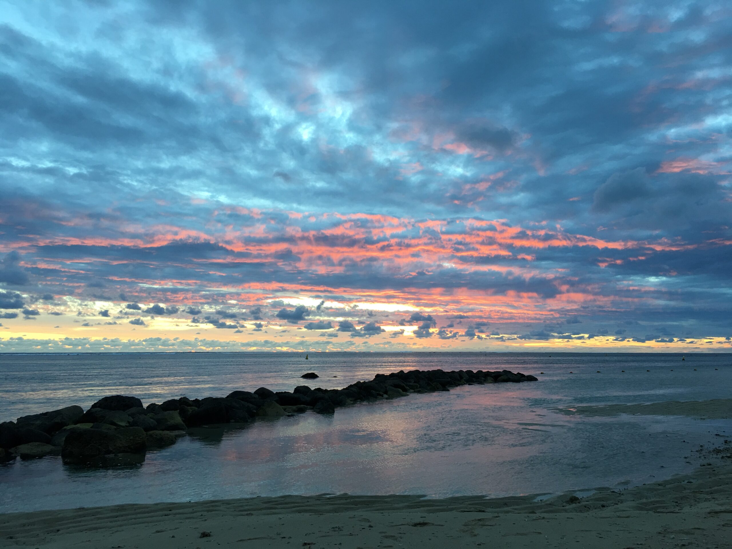 Katsu Kurry Wurst Awakes